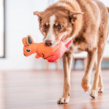Red Dingo Durables Kath the Kangaroo