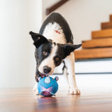 Red Dingo Durables Ball