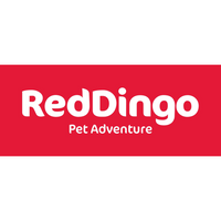 Red Dingo Pet Adenture