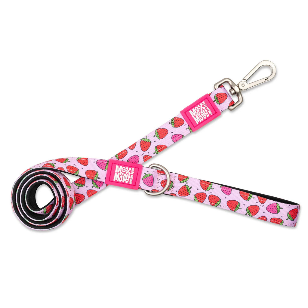 Max & Molly Leash Strawberries