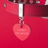 My Family Basic Heart ID Tag Charm Sky Blue