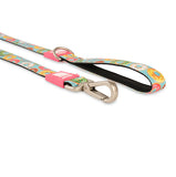 Max & Molly Leash Donuts