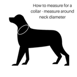 Hamish McBeth Collar Measuring Guide