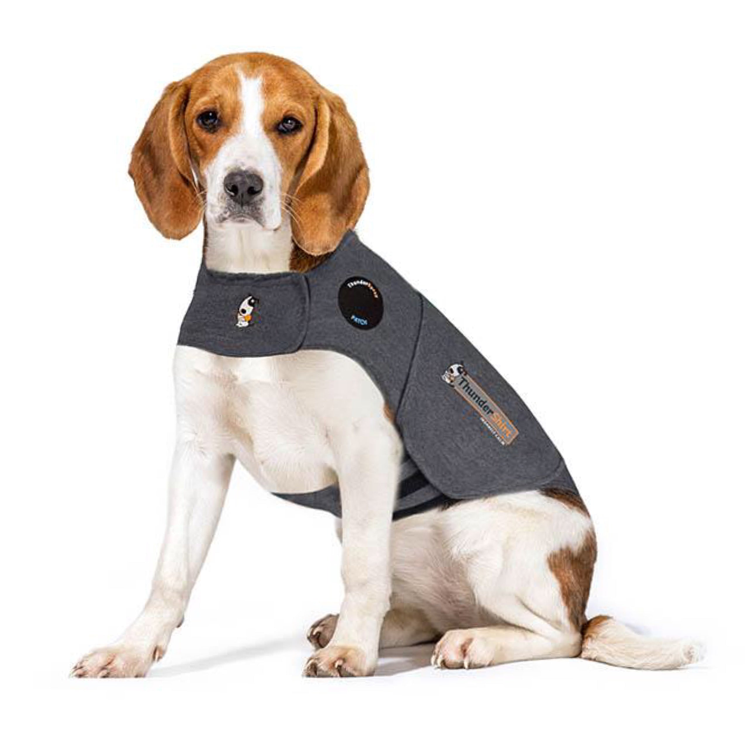 Thundershirt Anxiety Vest All Things Canine