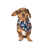 Big & Little Dogs Bandana High Roller