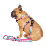 Big &  Litte Dogs Harness Strap Princess-asurus