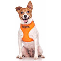 Friendly Dog Collars Vest Harness No Dogs