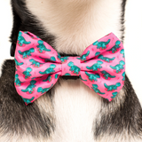 Big & Little Dogs Collar & Bow Tie Princess-asaurus