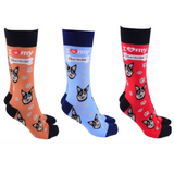 Dog Society Socks Blue Heeler