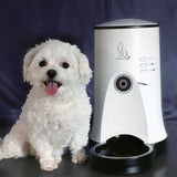 Org PetStation