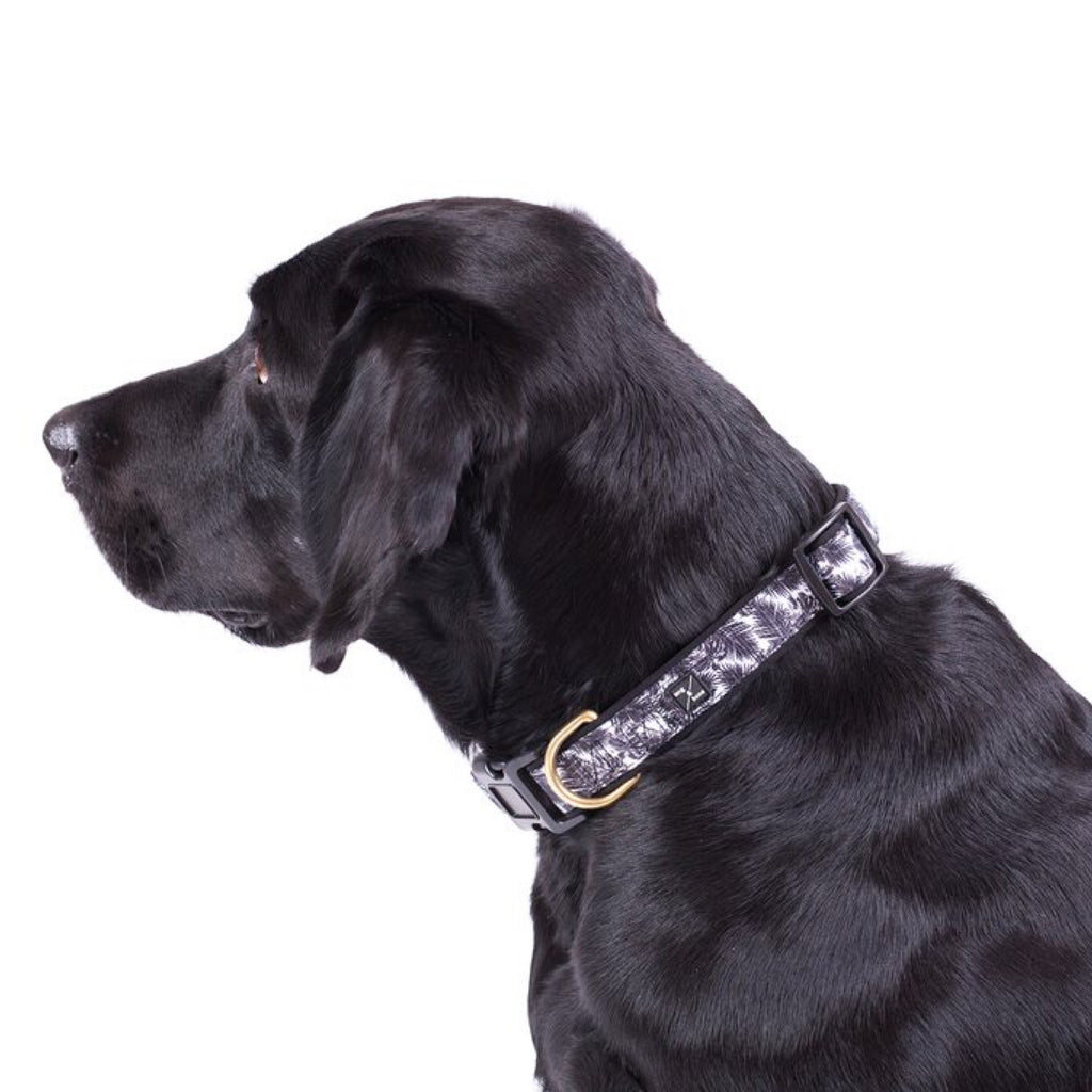 Dog Collar Mog & Bone Neoprene Tropical Leaf Black Large