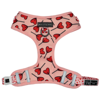 Big & Little Dogs Harness Adjustable Sucker For Love