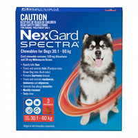 NexGard Spectra Red 30.1-60gs 3pk