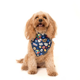 Big & Little Dogs Bandana High Roller
