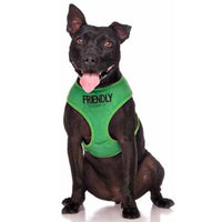 Friendly Dog Collars Friendly Vest Harness