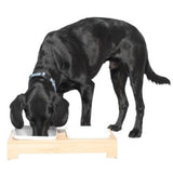 Mog & Bone Bamboo Raised Feeding Station Model