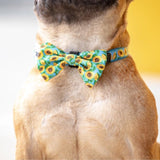 Big & Little Dogs Bow Tie Hello Sunshine