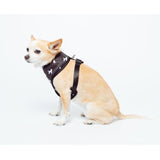 Mog & Bone Neoprene Dog Print Harness