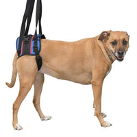 Walkin Pets Walkin Lift Combo Rear Harness