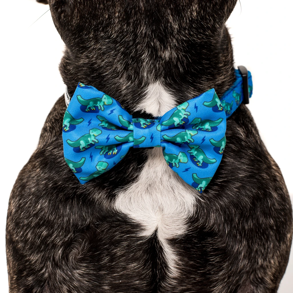 Big dog bow hot sale tie