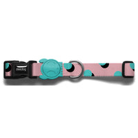 Zee Dog Polka Collar