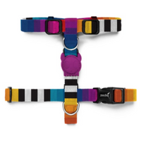 Zee Dog Prisma Strap Harness