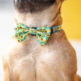 Big & Little Dogs Collar & Bow Tie Hello Sunshine