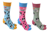 Dog Society Socks Border Collie