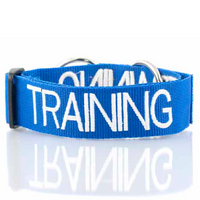 Friendly Dog Collars Collar Training