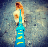 Dog Leash Zee Dog Banana Shake Walkies
