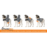 Thundershirt Anxiety Vest Guide