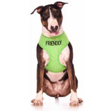 Friendly Dog Collars Friendly Vest Harness