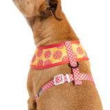 Big & Little Dogs Harness Reversible Pupperoni Pizza