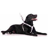 Friendly Dog Collars Deaf Dog Strap Harness