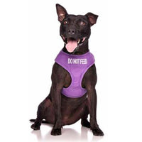 Friendly Dog Collars Do Not Feed Vest Harness