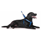 Friendly Dog Collars Service Dog Strap Harness