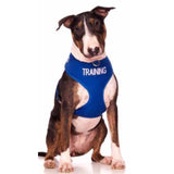 Friendly Dog Collars Vest Harness Training
