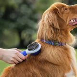 Purina TotalCare Grooming Double Sided Brush