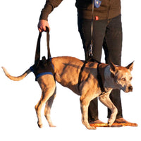 Walkin Pets Walkabout Rear Harness