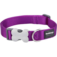 Red Dingo Classic Collar Purple