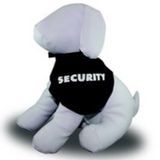 Pampet Bandana Security