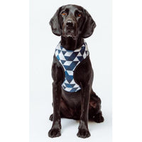 Mog & Bone Neoprene Diamond Print Harness