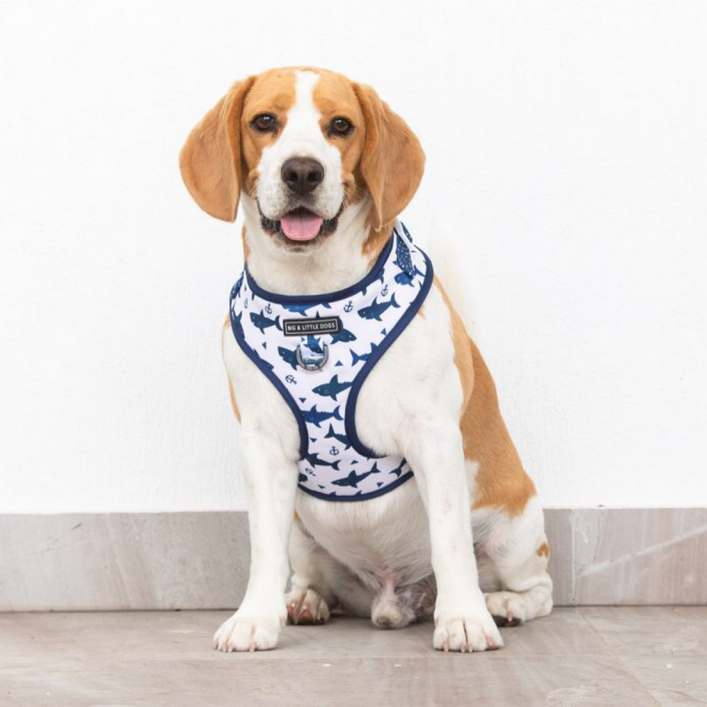 Bobs for dogs harness deals