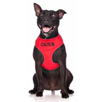 Friendly Dog Collars Caution Vest Harness