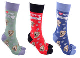 Dog Society Socks Golden Labrador