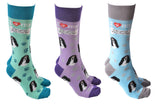 Dog Society Socks Cavalier King Charles