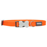 Red Dingo Classic Collar Orange