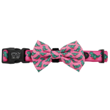 Big & Little Dogs Collar & Bow Tie Princess-asaurus