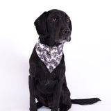 Dog Bandana Tropical Print Black