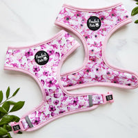 Pawfect Pals Reversible Harness You Give Me Butterflies